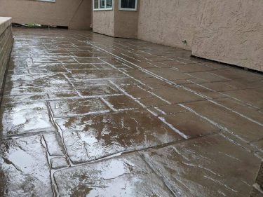 IMG_4500